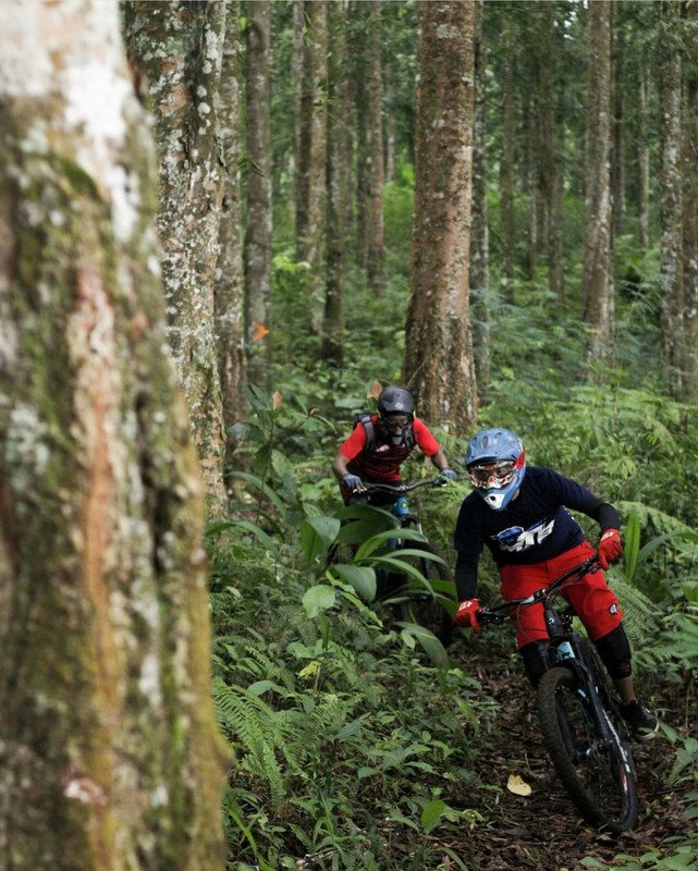 Erek Erek Bikepark